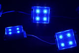   DLBS-10x4 LED 12V blue (10   4 )